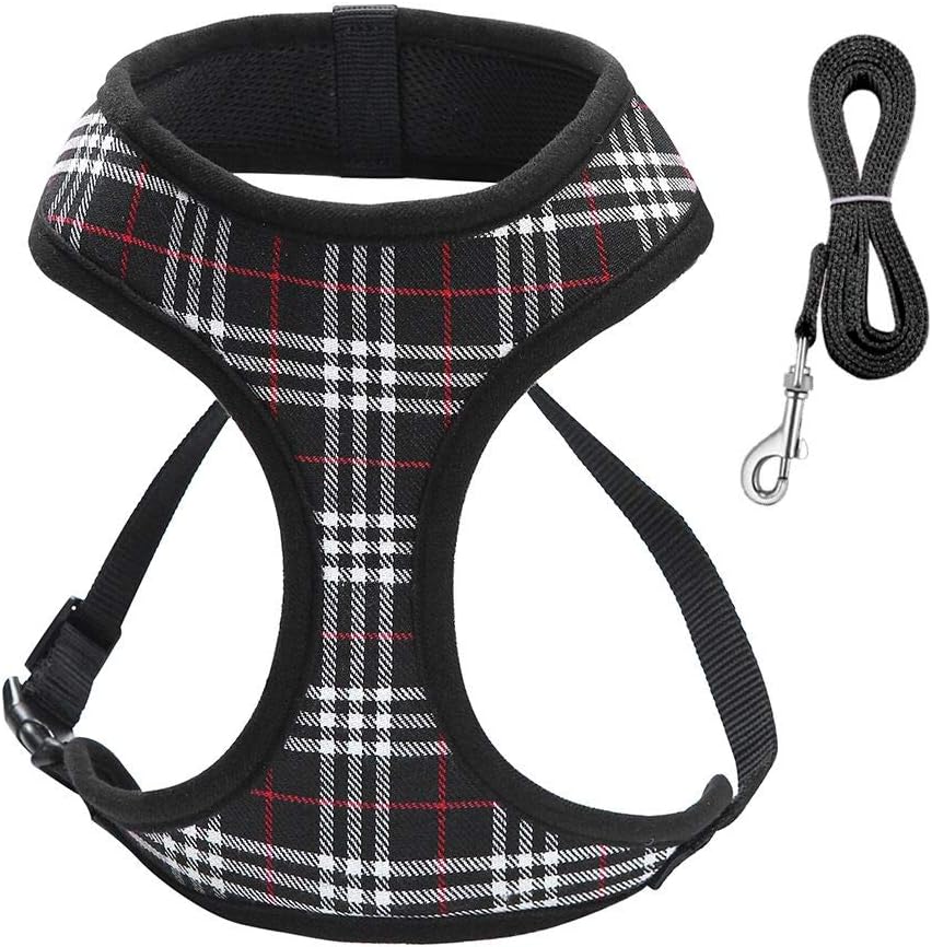 Dog Harnesses for Small Dogs,Super Soft & Comfortable Dog Harness,Easy To Adjust Harness for Small Dogs,Padded Mesh Material for Breathability and Secure Fit,Lightweight Shoulder And Chest Vest Ideal