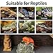 Reptile Carpet, Bearded Dragon Tank Accessories, Terrarium Liner Bedding, Non-Adhesive Terrarium Carpet for Bearded Dragon, Leopard Gecko, Snake, Lizard, Tortoise, Iguana Reptile Tank Grey(18