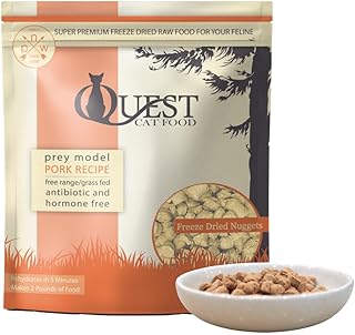 Quest Freeze-Dried Raw Cat Food Nuggets