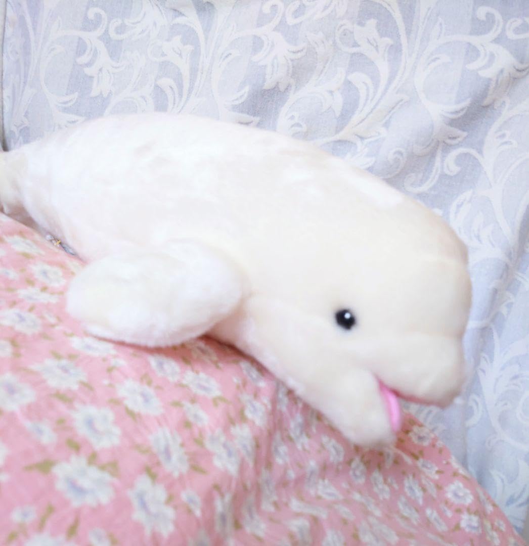 Amazon.co.jp: ベルーガ シロイルカ ぬいぐるみ 名古屋港水族館