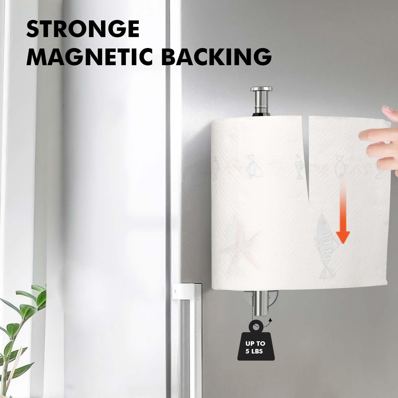 https://m.media-amazon.com/images/I/61q9uEStllL.jpg