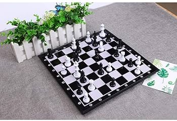 Amazon.co.jp: チェス 黒と白の駒が付いたチェス盤チェスセット