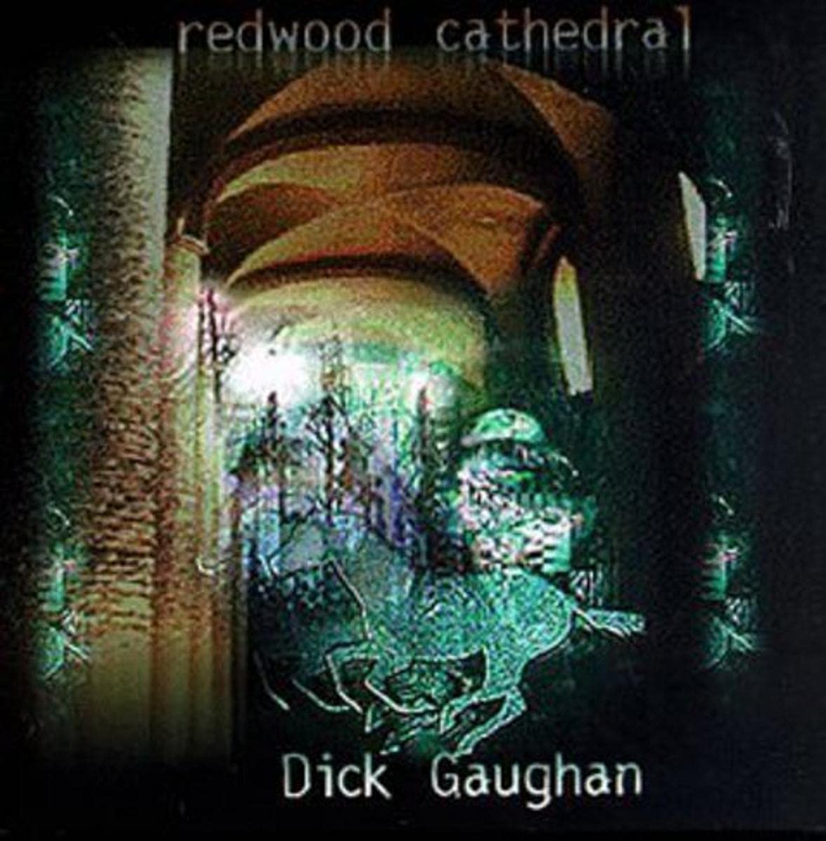 GAUGHAN, DICK - REDWOOD CATHEDRAL [Audio CD] GAUGHAN, DICK