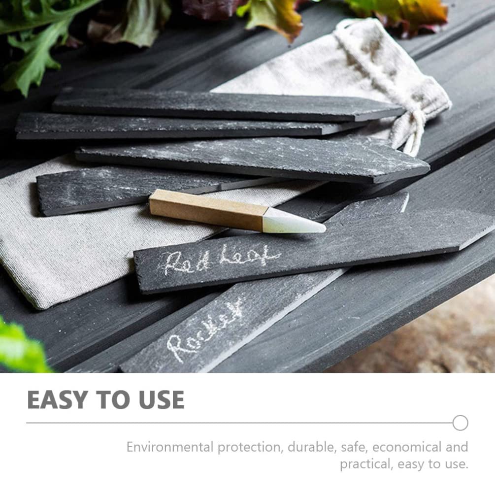 12 Pcs Ardoise Plante étiquette de Jardin Plantes étiquettes de Pépinière de Pépinière étiquettes D' étiquettes pour Plantes de Pots de Pots Etiquette Ardoise Jardin