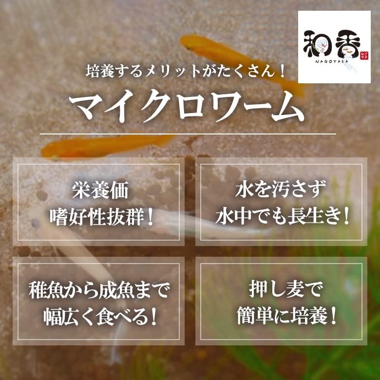 マイクロワーム培養2セット 詳しい培養マニュアル付 めだか金魚針子稚魚に最適で培養簡単 ゾウリムシ ミジンコ ワムシ ブラインシュリンプの代用にも マイクロワーム培養2個セット 送料無料新品 マイクロワーム培養2セット 詳しい培養マニュアル付 めだか金魚針子稚魚に最適で培養簡単 ゾウリムシ ミジンコ ワムシ ブラインシュリンプの代用にも マイクロワーム培養2個セット 送料無料新品