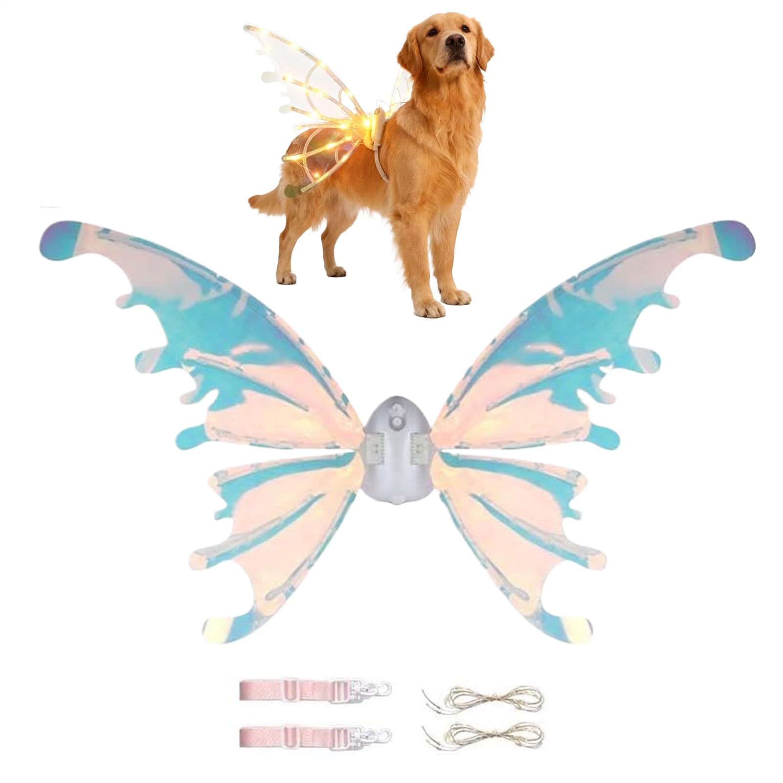 Ailes de fée pour chien à effet lumineux et tenue de jeu de rôle pour carnaval