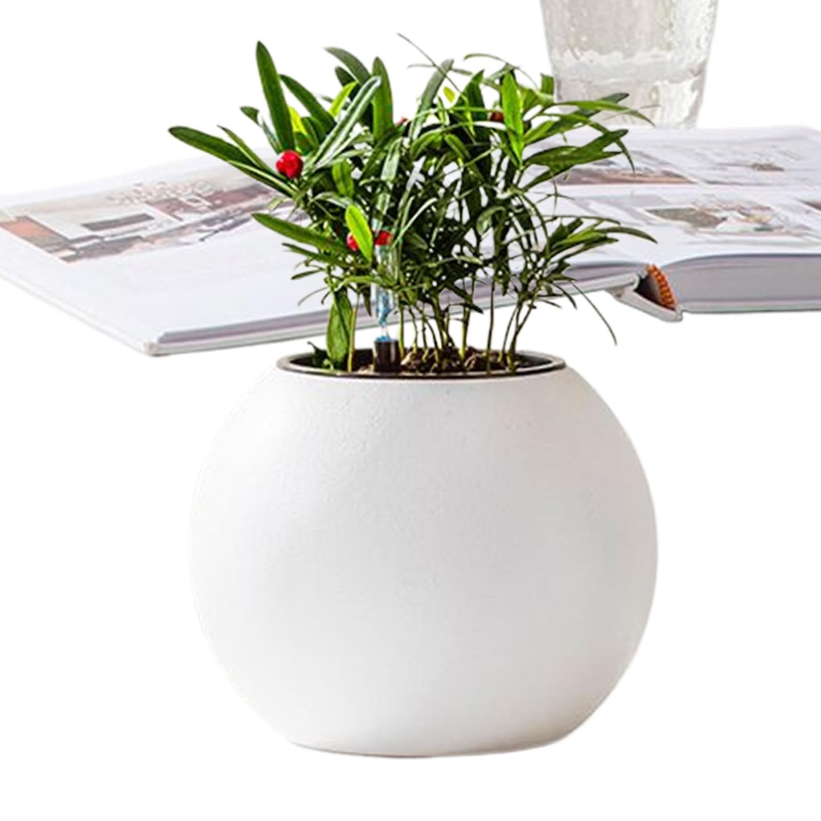 Jardinière d'arrosage automatique et pot de fleurs intérieur design boule