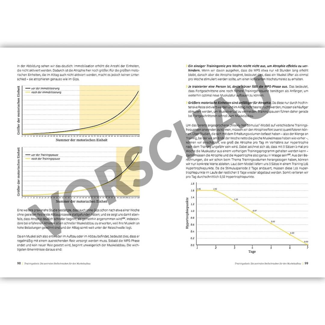 Die Fitness Fibel 2025 Sjard Roscher Hardcover neu Muskelaufbau Training Sport NEUAUFLAGE