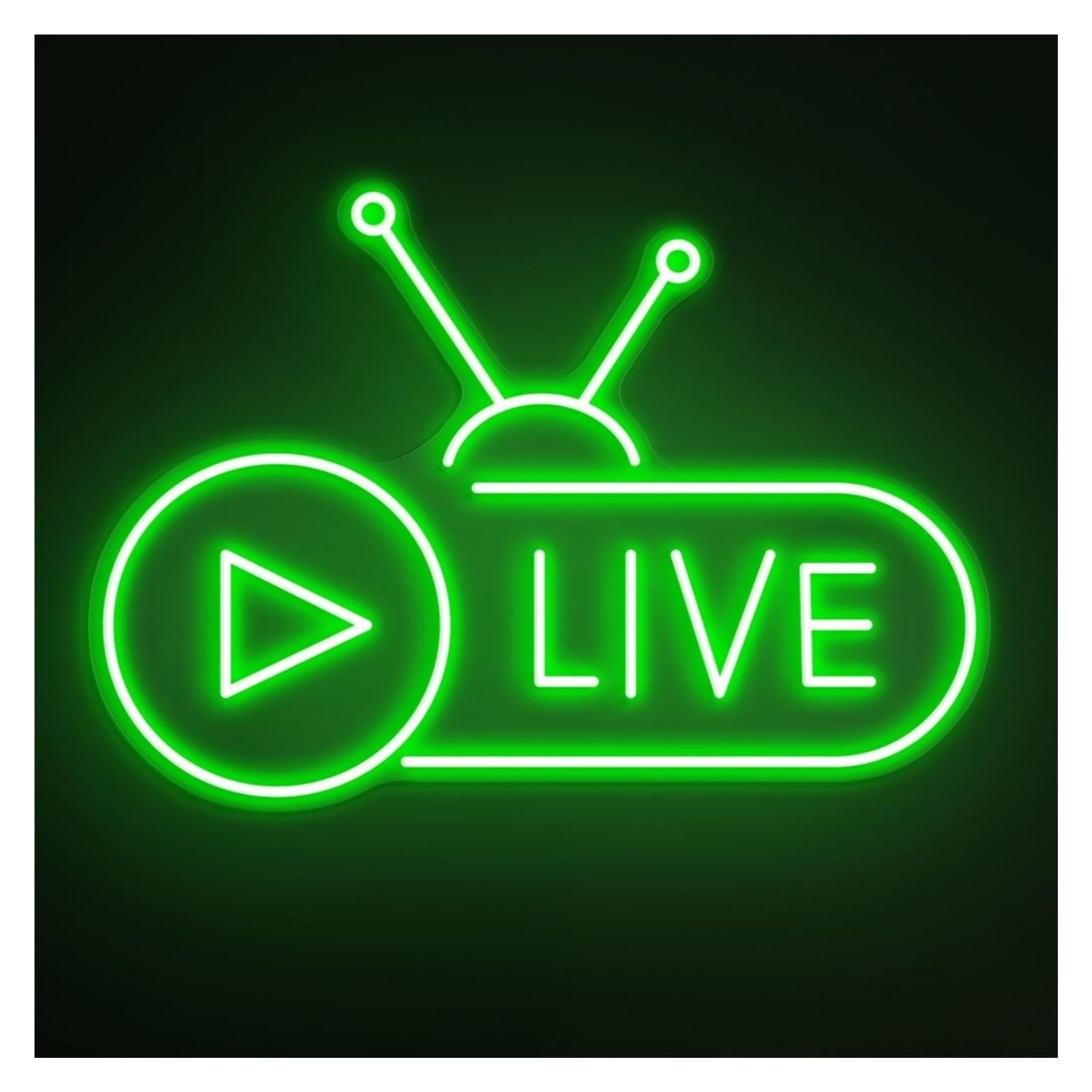 RONGCH Hanging Art Signs Live Neon Sign, Suitable for Broadcast Wall Decor with Brightness Adjustable 43cm