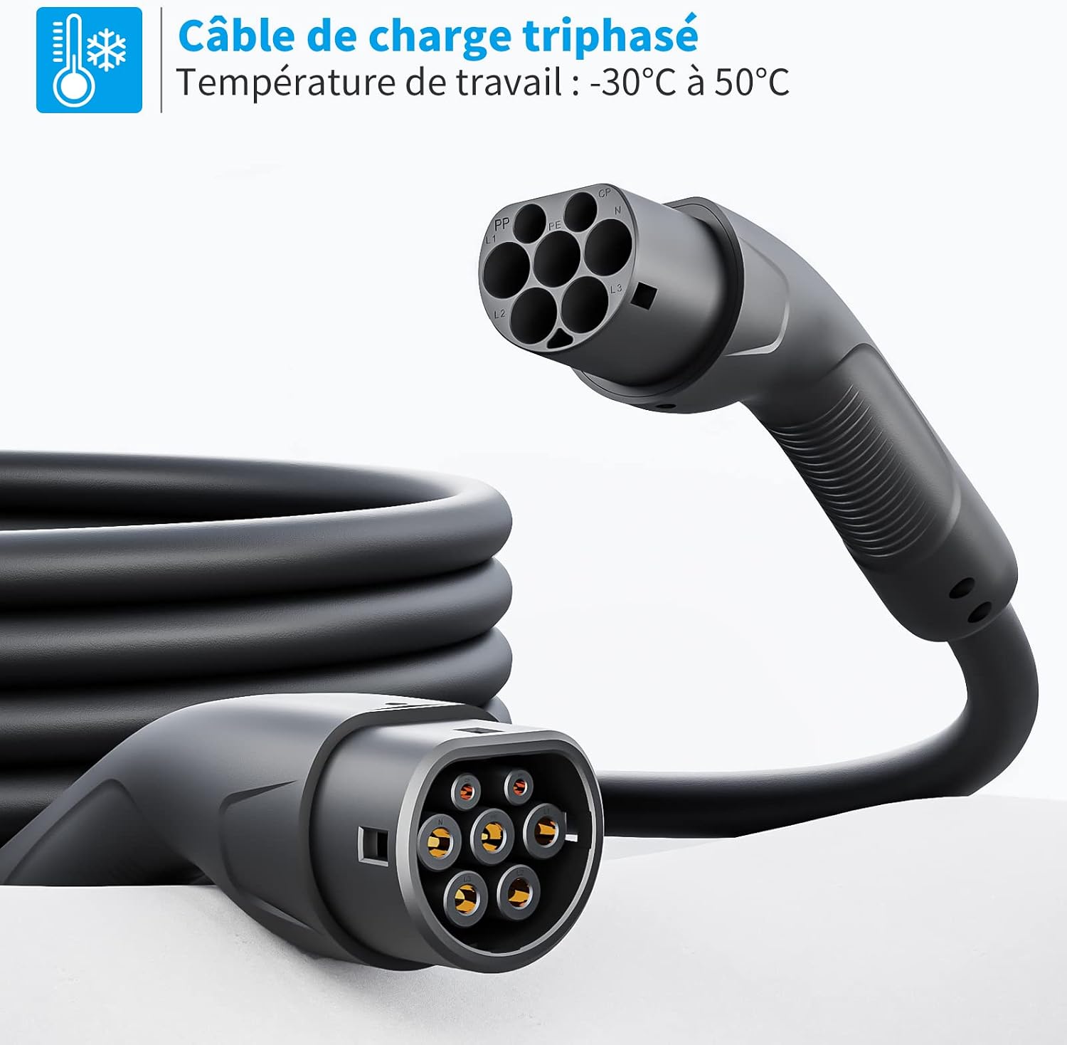 Rosaking Câble Type 2 - portable et pratique
