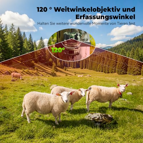 4G LTE Solar Wildlife Camera mit SIM Karte, Wildkamera mit handyübertragung app, Wildtierkamera mit bewegungsmelder nachtsicht Trigger 0,1S with 64GB TF Card, 8000mAh Akku, IP66