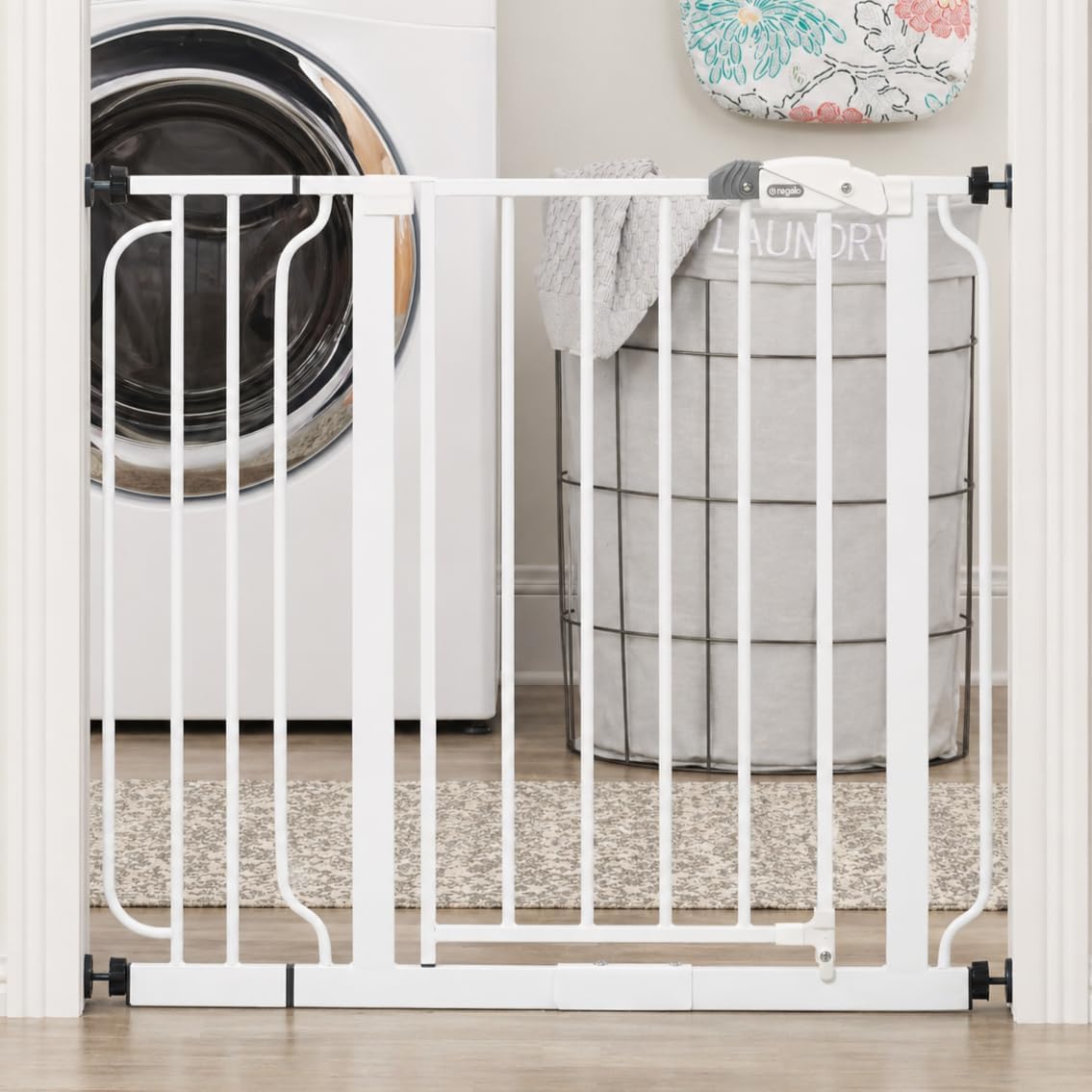Dog Doors, Gates, & Ramps