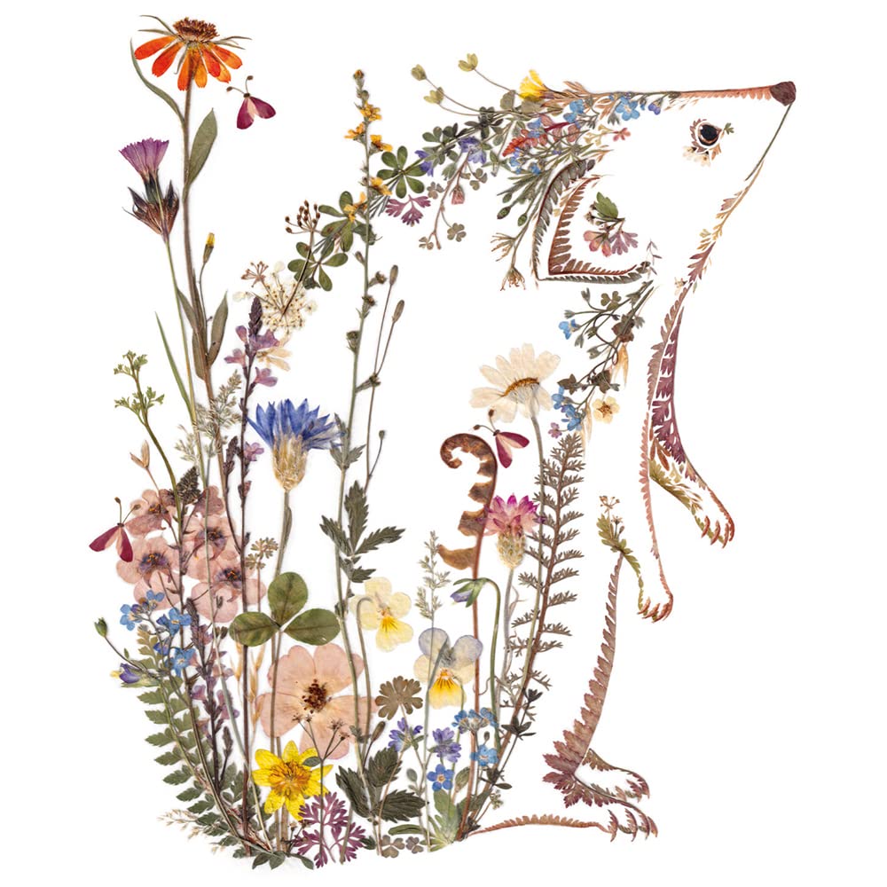 Museums & Galleries Wild Press Hedgerows by Helen Ahpornsiri 8 Square Notecards Wallet, Multicolour, 130 x 130 x 13mm - Image 3