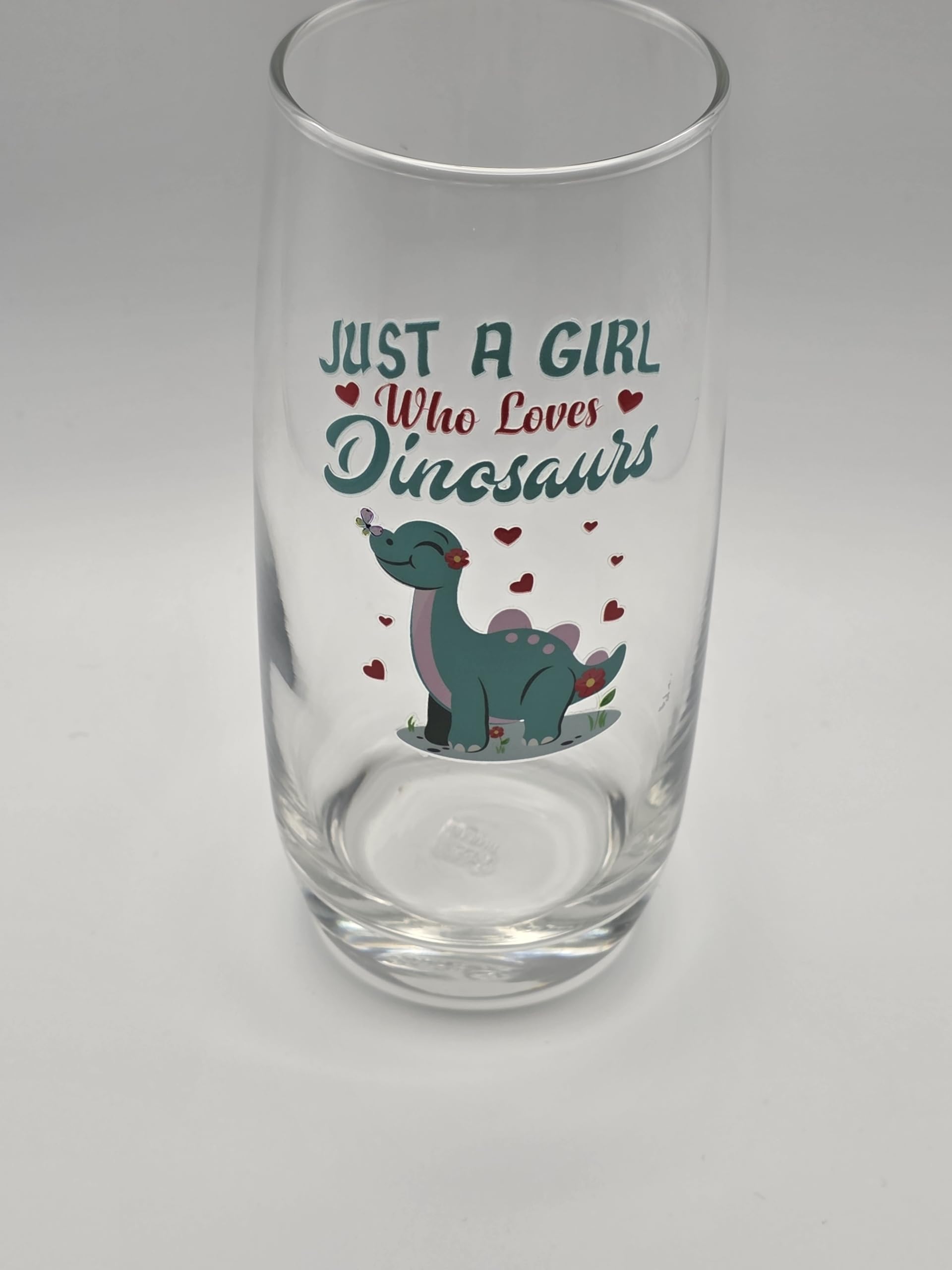 Just a Girl who Loves Dinosaurs Glass Tumbler Drinking Glass Gift. Dinosaurs Lovers Gift