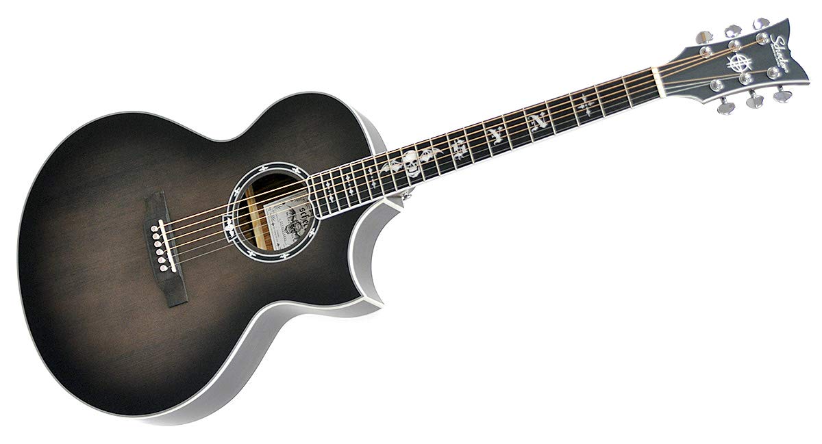 Amazon | SCHECTER (シェクター) エレクトリック・アコースティック 