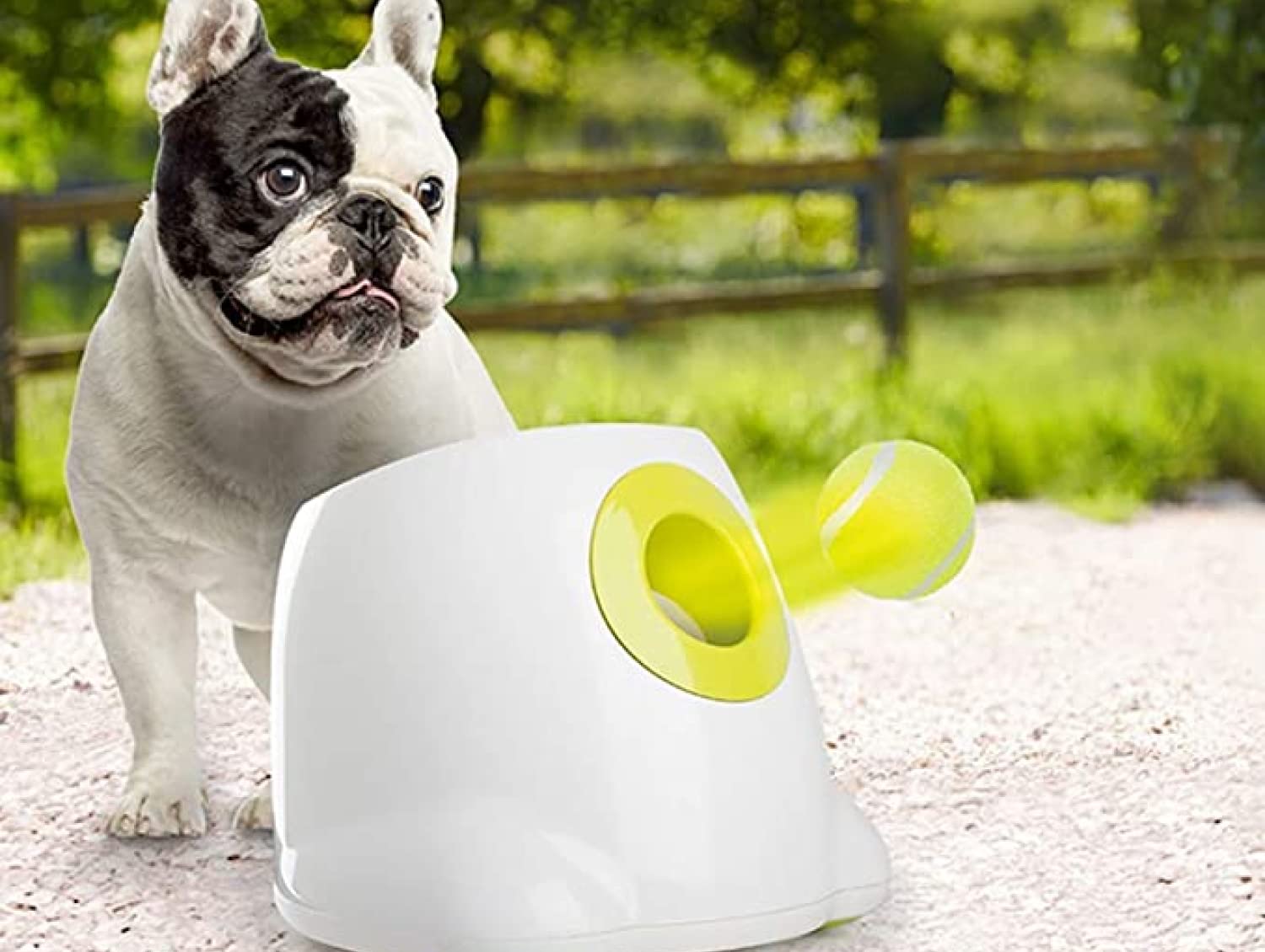 Orifesio 12 stuks tennisballen van 2 inch voor honden, mini