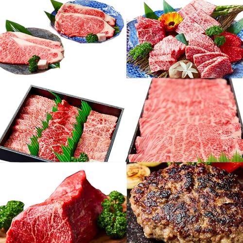 [定期便]近江牛ステｰキ/ハンバｰグ/焼肉/すきしゃぶ/ブロック 全6回[FO60U] 牛肉