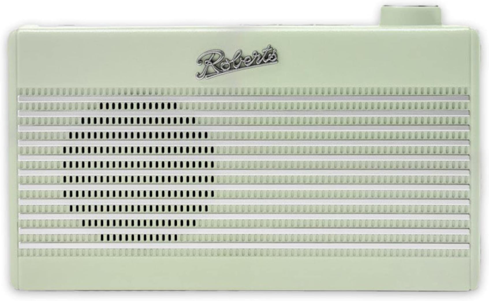 RAMBLER MINI FM/DAB/DAB+ Digital with Bluetooth & Built-In Rechargeable Battery - Leaf Green