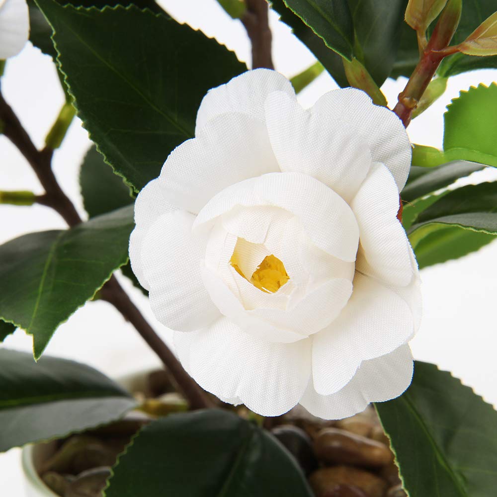 3F Piante Artificiali - V - CAMELIA MEDIUM (42) - ALTEZZA CM 125 VASO CM 20 - 3F Piante Artificiali