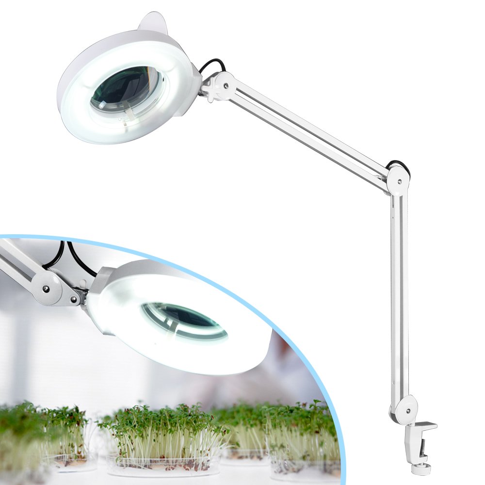 AceFox Desk Magnifying Lamp Light Beauty 5 Diopter Magnification Magnifier Clamp Salon