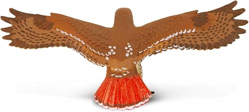 Miniatura 6 de Safari Ltd. Figura de halcón de cola roja, figura detallada de plástico de 5.75 pulgadas con envergadura, divertido juguete educativo para niños,