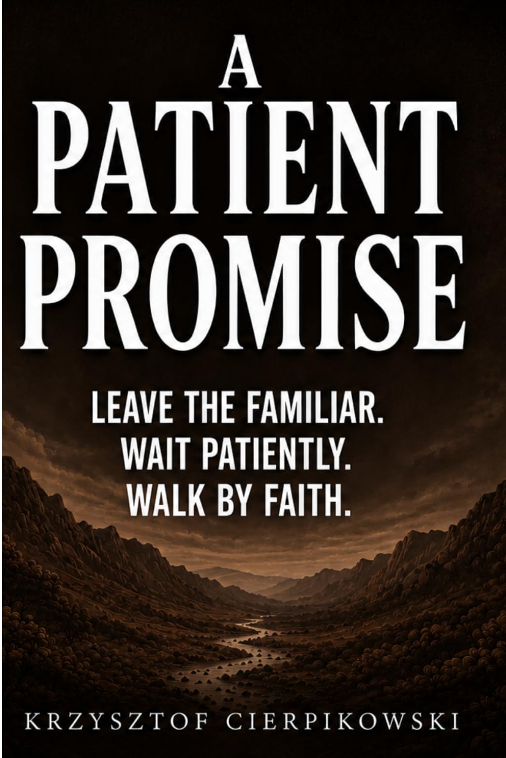 A PATIENT PROMISE: How to Leave What's Comfortable, Survive the Long Wait, and Walk by Faith When You Cannot See What Comes Next. (The Blood of Jesus Declarations Series)