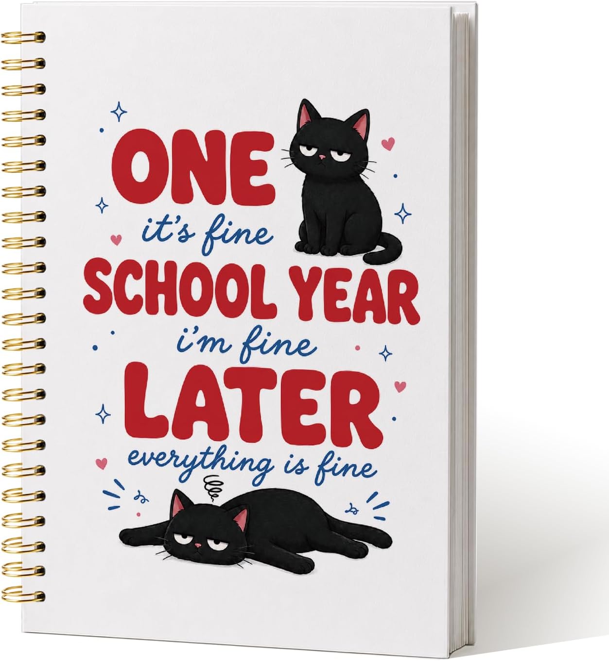 Funny Black Cat Hardcover Spiral Notebook Gifts for Teachers Students