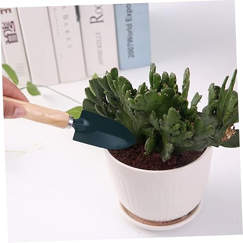 Miniatura 7 de GANAZONO Juego de herramientas de jardín para niños y niñas, 3 piezas, mini kit de jardinería, pala, rastrillo, pala, perfecto para niños y niñas,