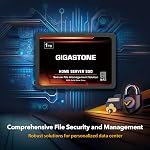 【Certifié NAS】 GIGASTONE Home Server SSD 1To (paquet de 2) jusqu'à 550 Mo/s TLC Flash avec mise en cache SLC 24/7 fiable pour jeux/PC/NAS SSD garantie de 3 ans disques SSD internes SATA 2,5 po