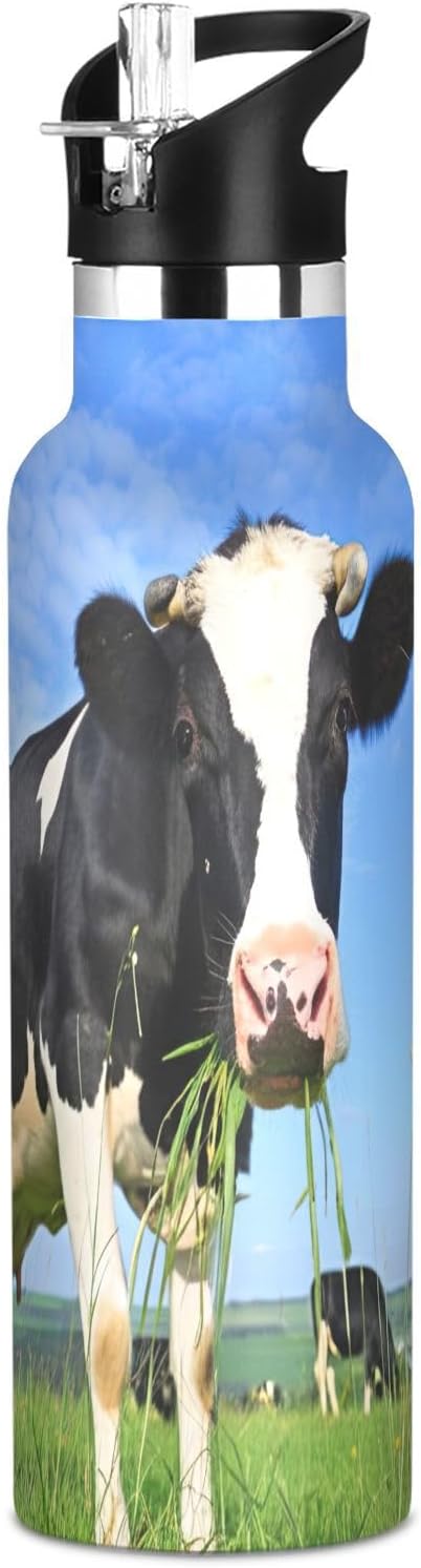 Kids Water Bottle for School 20 Oz Bottle for Boys Girls, BPA-Free, Black White Cow Eating Grass Meadow Blue