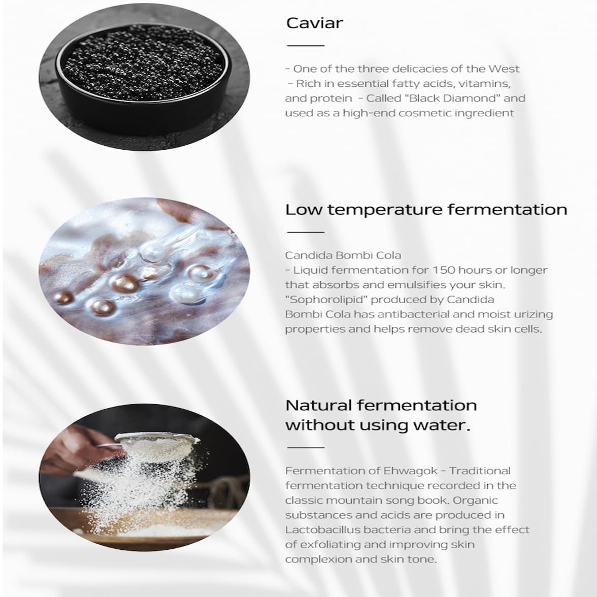 Tara Caviar Power Cream