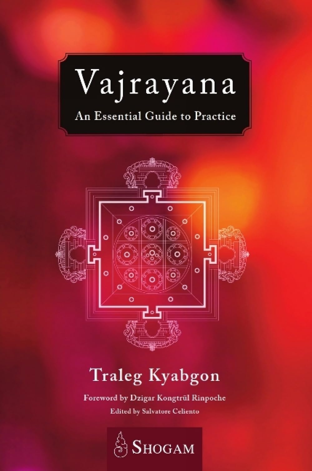 Buy Vajrayana: An Essential Guide to Practice — BookShops.in