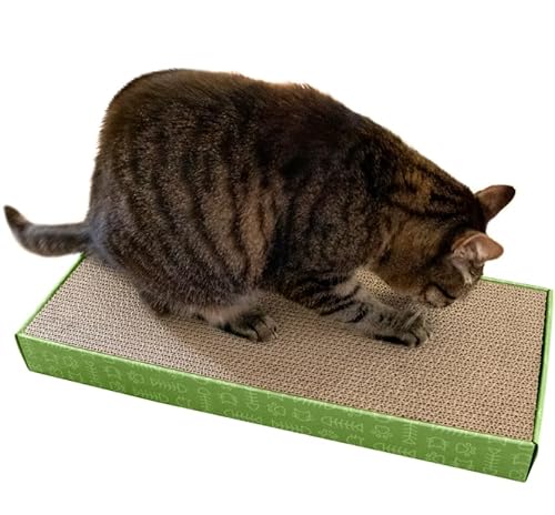 Kit 2 Arranhador Para Gato Plano De Papelão Evita Arranhar Sofá Cortina 2 Unidades