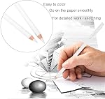 3 Pack Professional White Charcoal Pencils Set Sketch Highlight Colored Pencils Drawing Set Art Painting Supplies Pencils for Drawing, Sketching, Shading, Blending Chalk Pencils for Beginners Artist