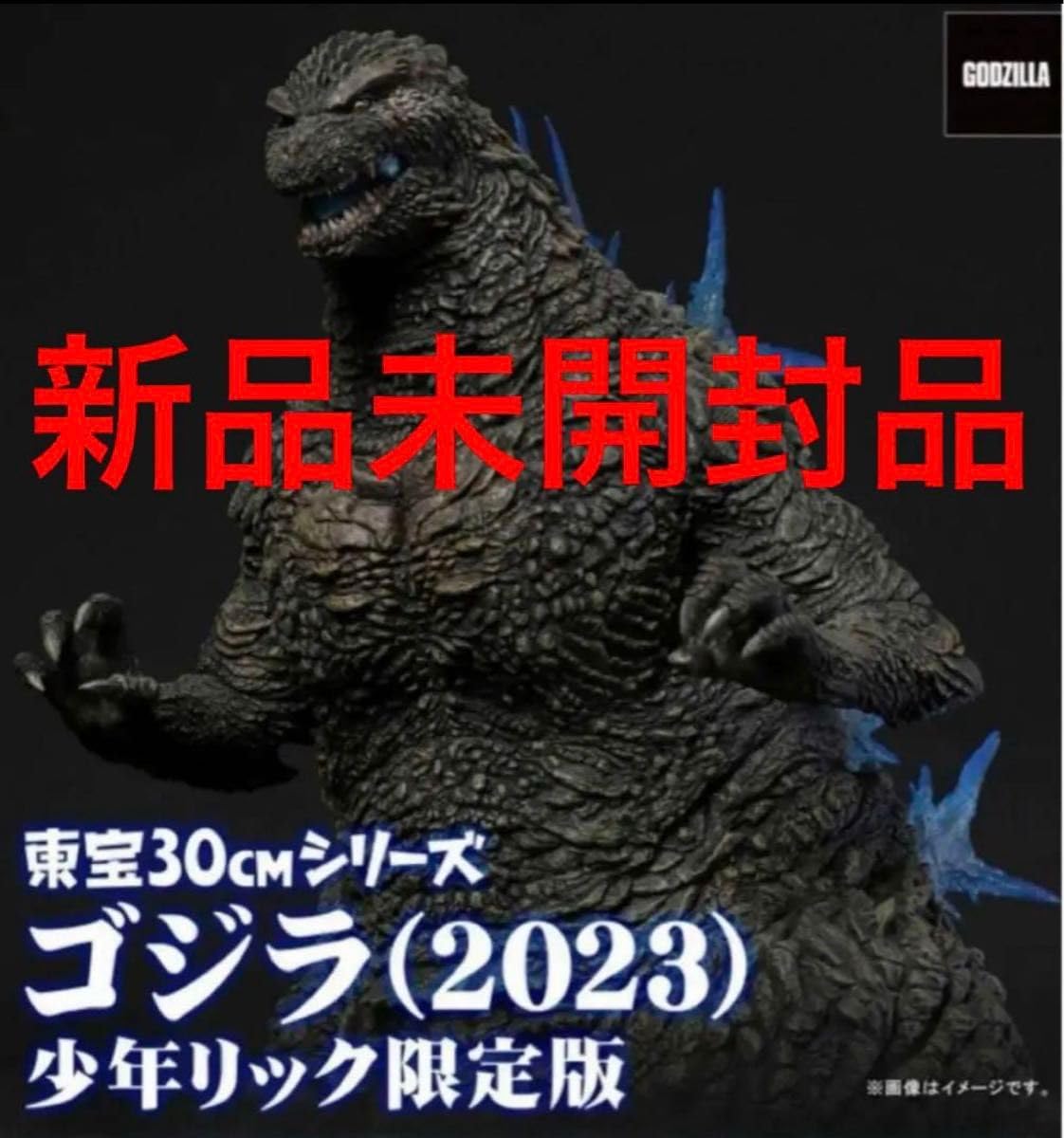 Amazon.co.jp: 東宝30cmシリーズ ゴジラ(2023) 少年リック限定版  