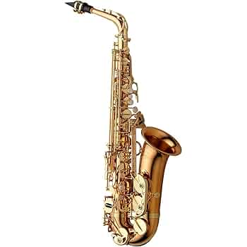 massinfluence / adagio! 2枚 Amazon.com: Yanagisawa TWO2 Professional Tenor Saxophone