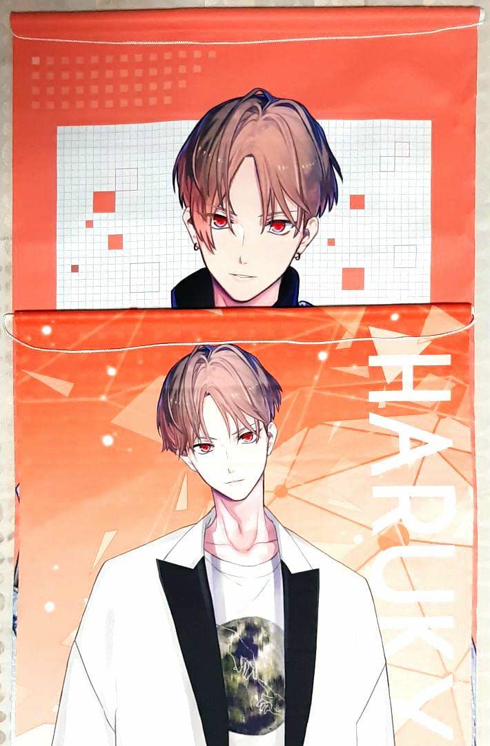 Amazon.co.jp: カナメとハルキー タペストリー 2枚 ハルキー : Hobbies