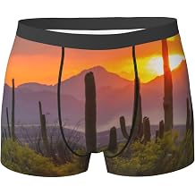 Desert Cactus Sunset, Arizona Light Men'S Breathable Boxer Shorts With Elastic Waistband