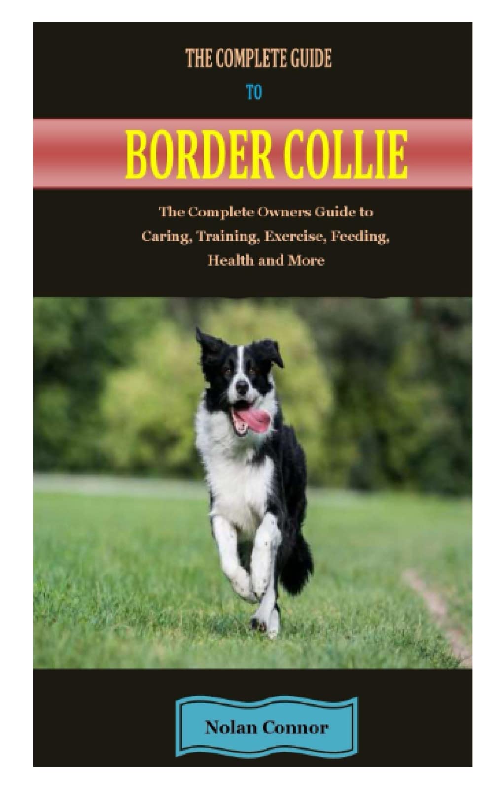 The Complete Guide To Border Collie The Complete Guide To