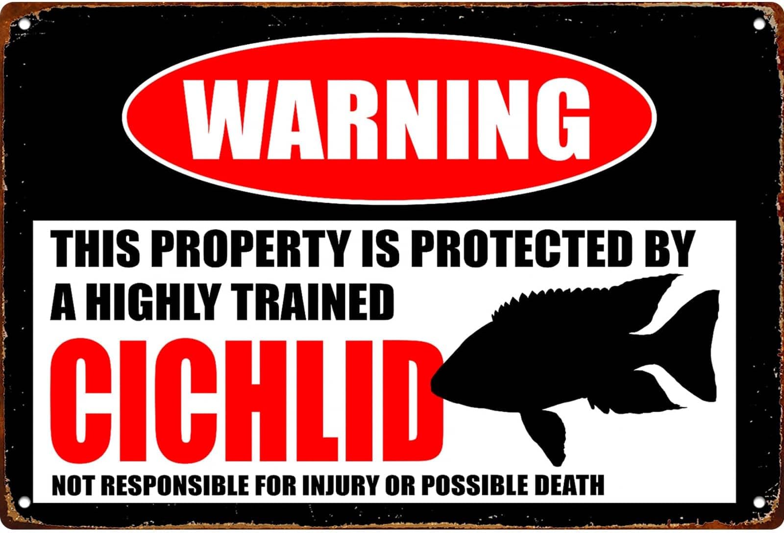 Funny Cichlid Warning Poster Retro Kitchen Bedroom Motivation Living Room Signs 8x12 Inch Wall Decor Metal Sign Posters for Bathroom Garden Farm Bar Garage Restaurant Man Cave Dormitory