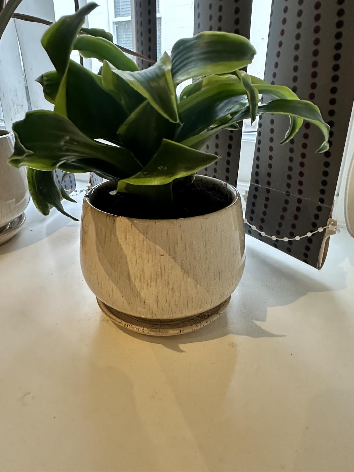 Customer photo
