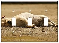 Vista 1 de Interruptor de la placa Triple Toggle - Variedad Paisajes Eje Café Quindio Colombia 1