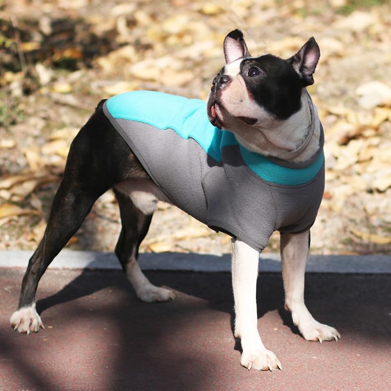 Hundesweatshirt Stretch Fleece Mantel Warme Hundejacke Pullover für kleine und mittlere Hunde Haustier Winterkleidung für drinnen und draußen tragen, Grün, M
