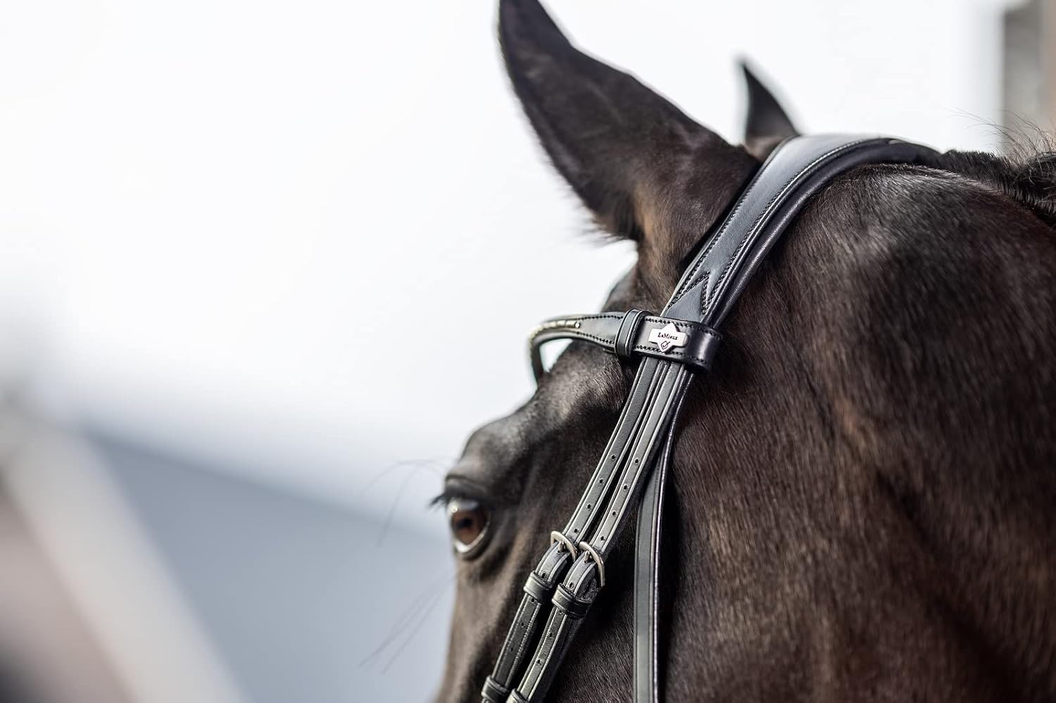 LeMieux Kudos Classic Dressage Bridle