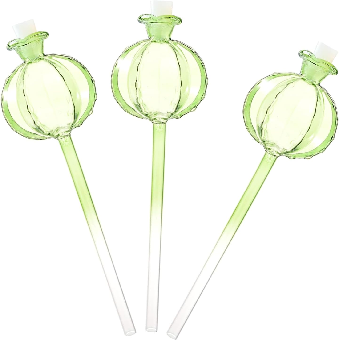 3pcs Glass Plant Self-Watering Bulb Automatic Watering Planter Insert Potted Plant Pomegranates Globes Device Gifts image 4