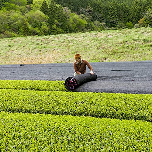 [Sugimoto Tea] Organic Ceremonial Matcha, Authentic Japanese Green Tea Powder, Shade-Grown & Freshly Sealed For Premium Quality And Flavor, Usda Organic, Kosher, Non-Gmo, 1.0 Ounce (28G) Tin #TOP5