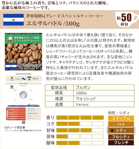 honu加藤珈琲店 タイプ11スペシャルティ珈琲福袋