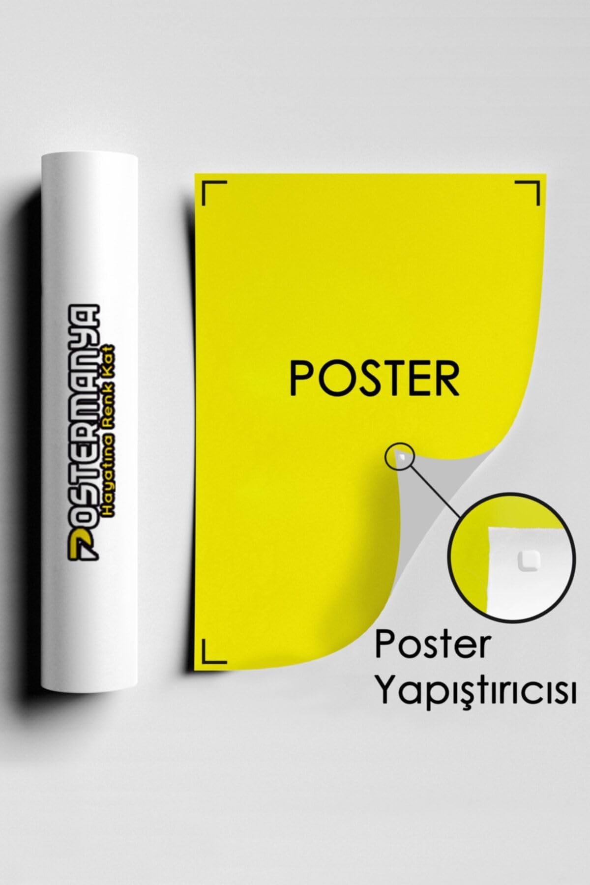 Postermanya (pster3589) Darwin Bilimsel Poster 2 (90x130cm)