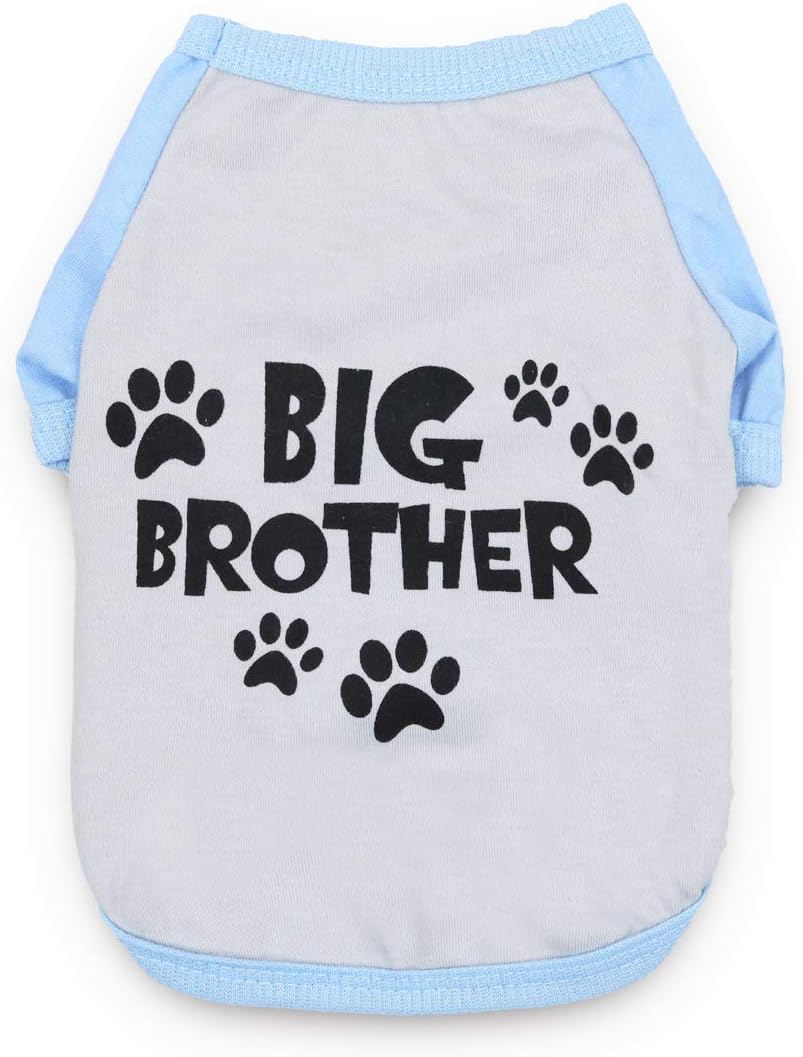 DroolingDog Dog Big Brother T-Shirts Puppy Clothes for Small Dogs Boy Girl, Medium, Grey