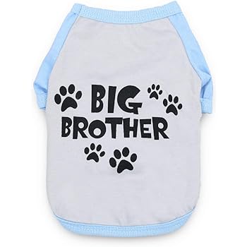 promoted to big brother dog shirt